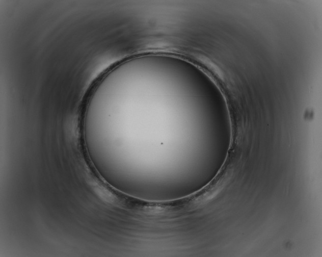 X0000101471458200807141339