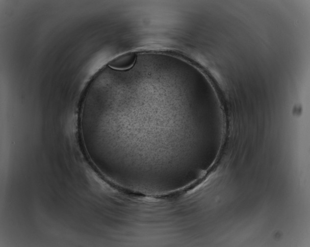 X0000101471459200807141339