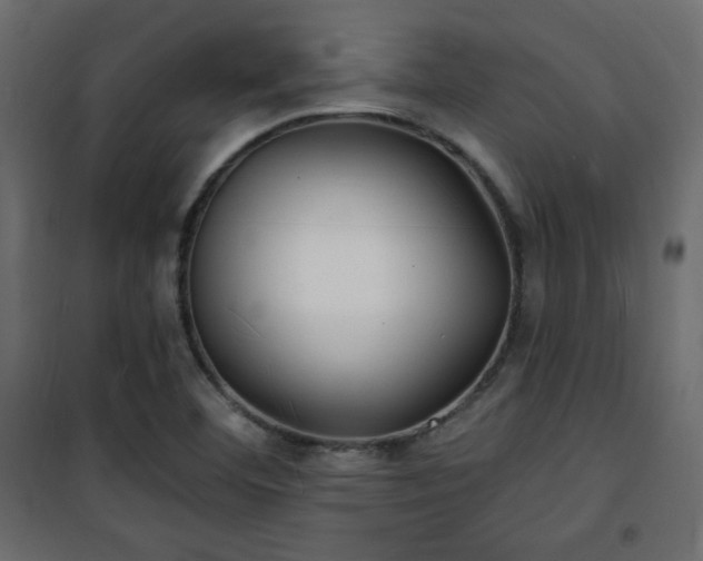 X0000101471460200807141339