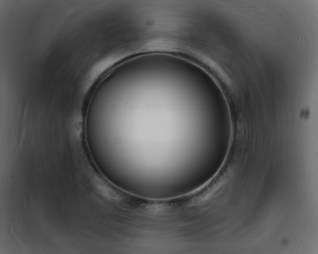 X0000101471461200807141339
