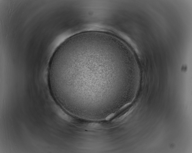 X0000101471463200807141339