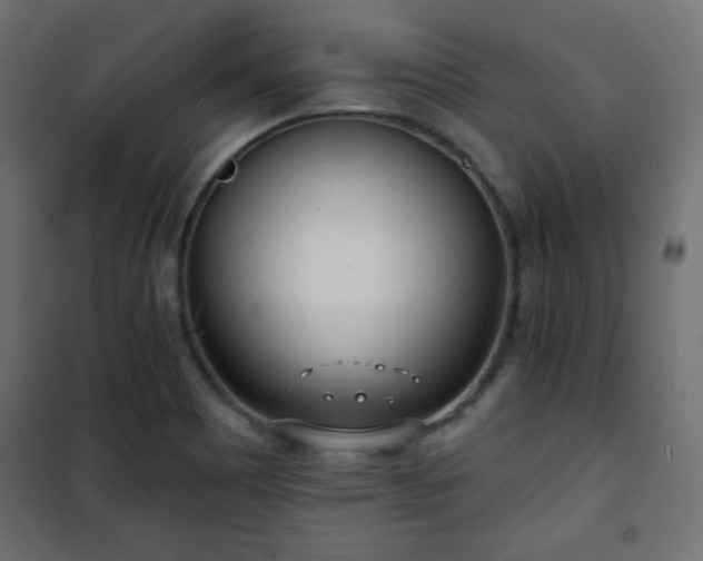 X0000101471465200807141339