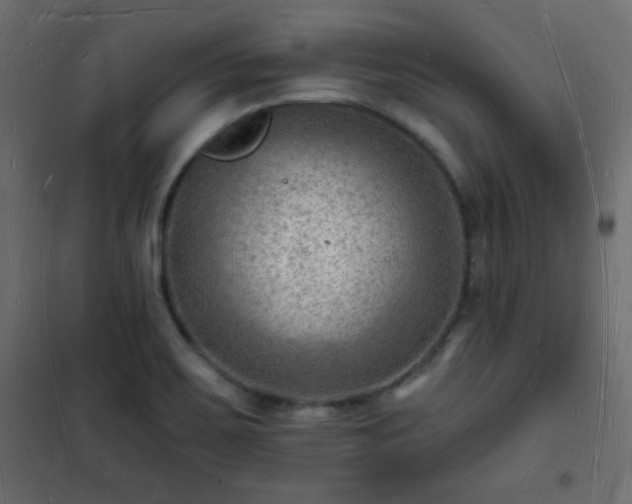 X0000101471467200807141339