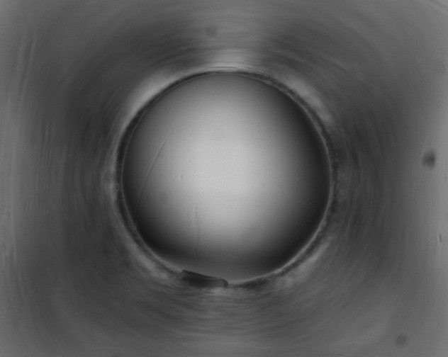 X0000101471469200807141339