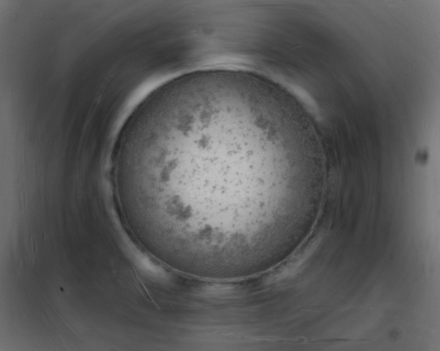 X0000101471470200807141339