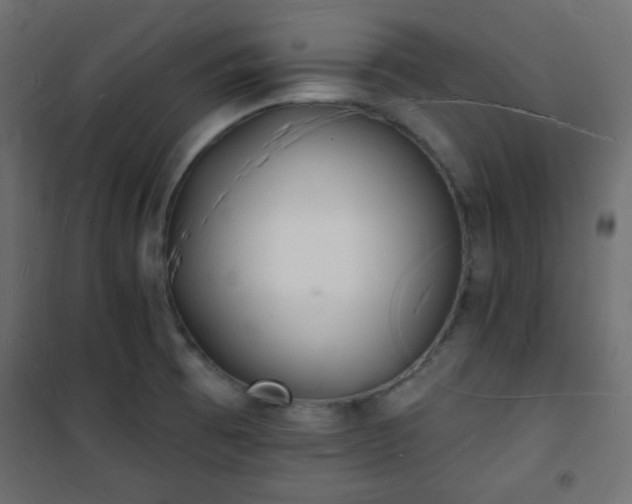 X0000101471473200807141339