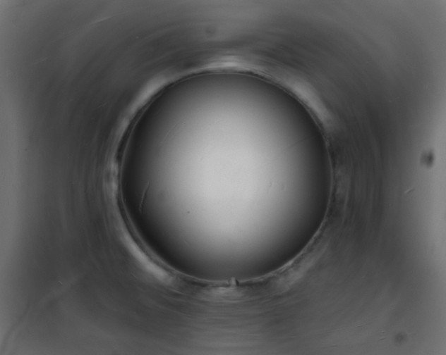 X0000101471476200807141339
