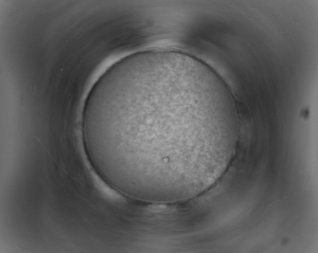 X0000101471478200807141339
