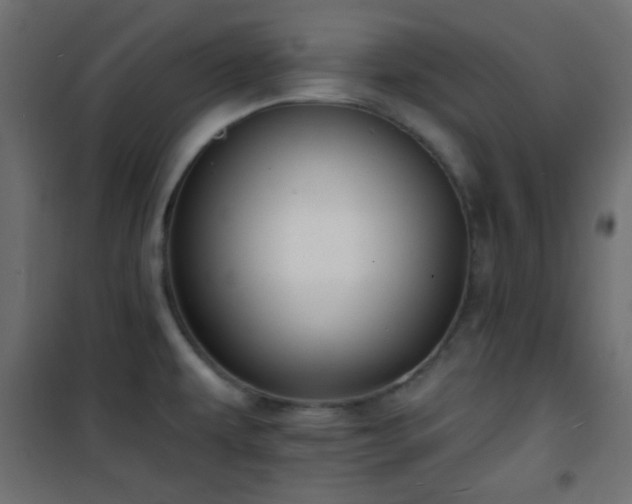 X0000101471479200807141339
