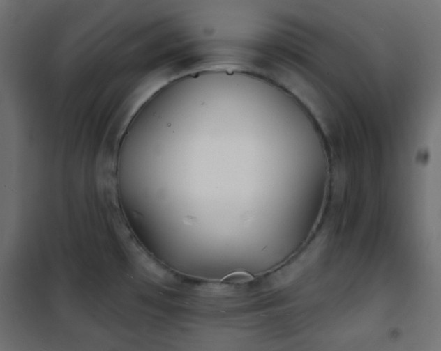 X0000101471481200807141339