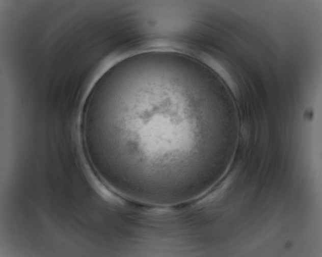 X0000101471482200807141339