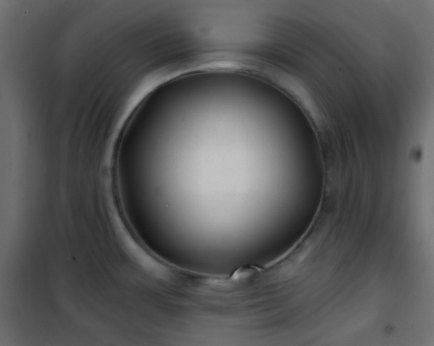 X0000101471483200807141339