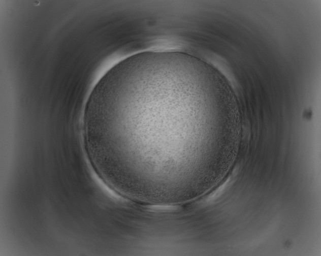 X0000101471487200807141339