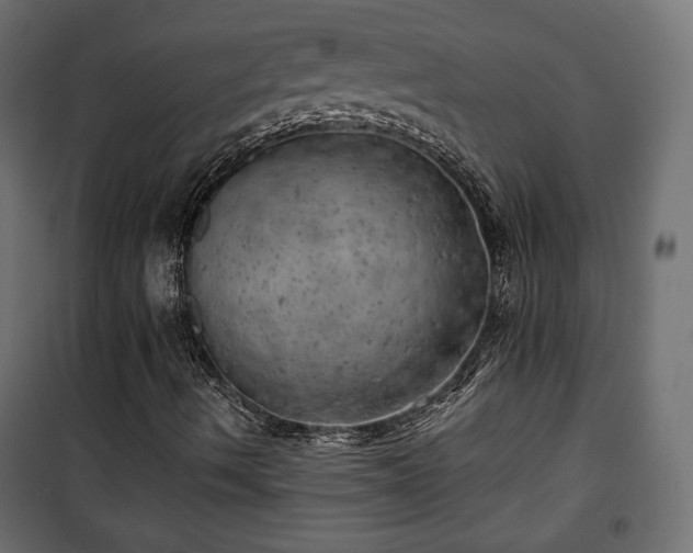 X0000101471490200807141338