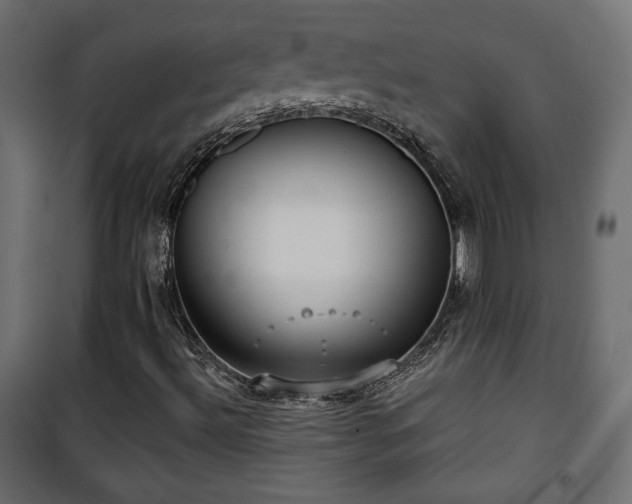 X0000101471492200807141338