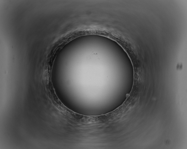X0000101471493200807141338