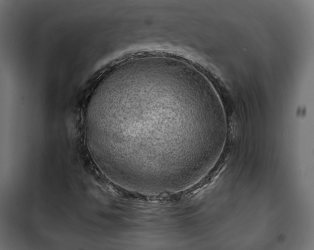 X0000101471494200807141338