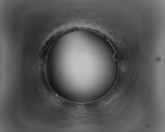 X0000101471495200807141338