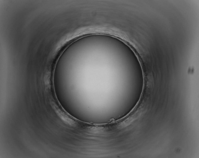 X0000101471499200807141339
