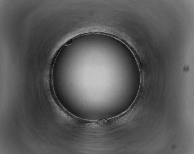 X0000101471500200807141339
