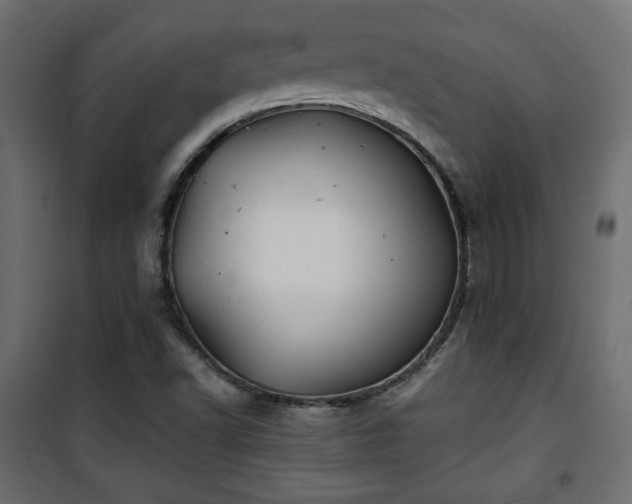 X0000101471502200807141339