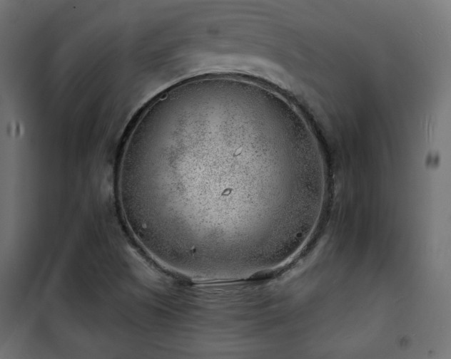X0000101471505200807141339