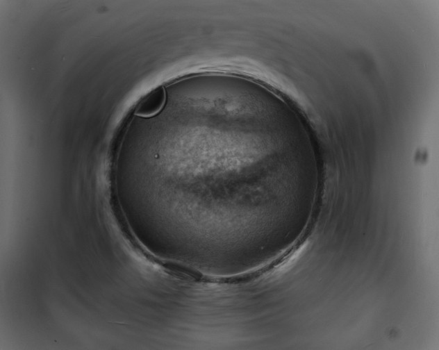 X0000101471506200807141339