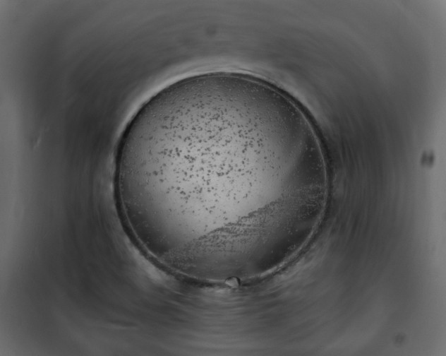 X0000101471508200807141339