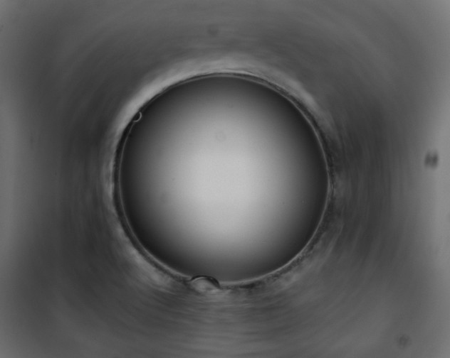 X0000101471512200807141339