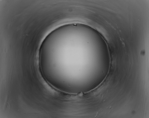 X0000101471516200807141339