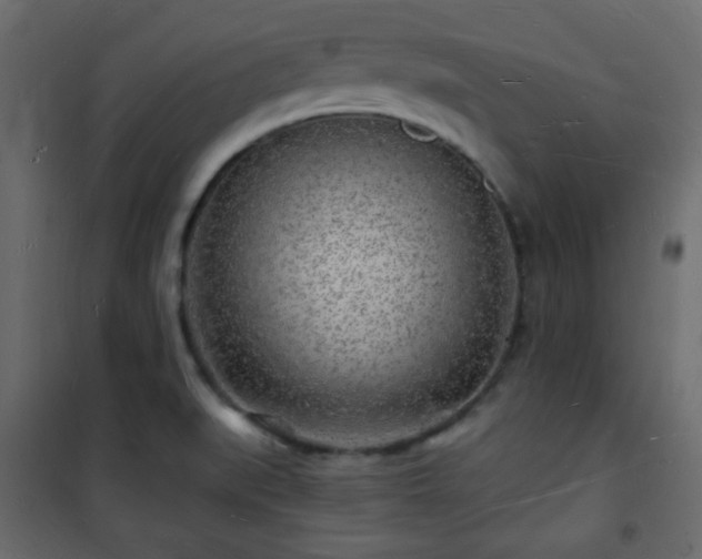 X0000101471519200807141339