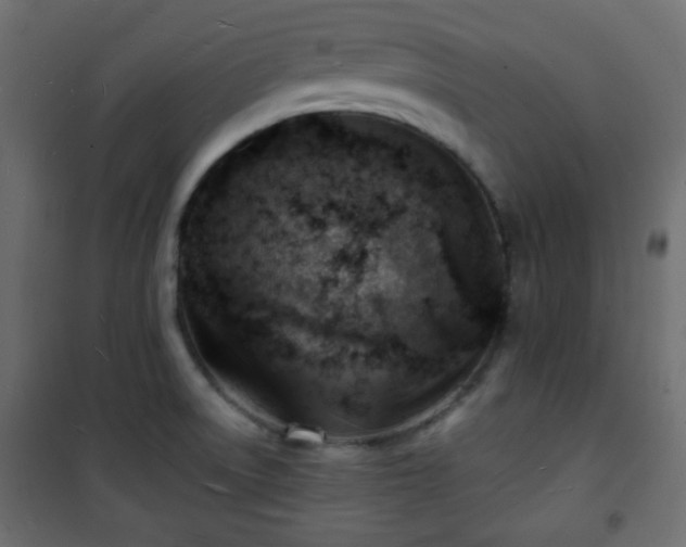 X0000101471522200807141339