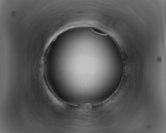 X0000101471524200807141339