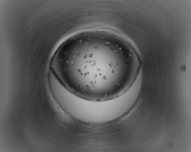 X0000101471530200807141339