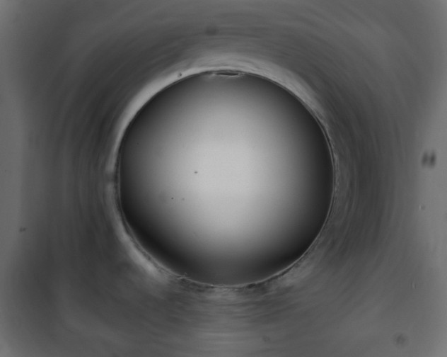 X0000101471536200807141339