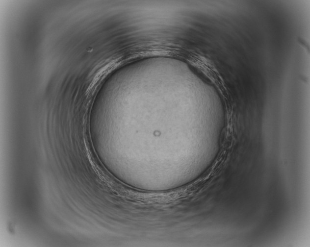 X0000101470001200807211347