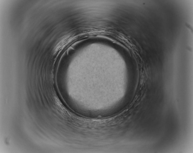 X0000101470002200807211347