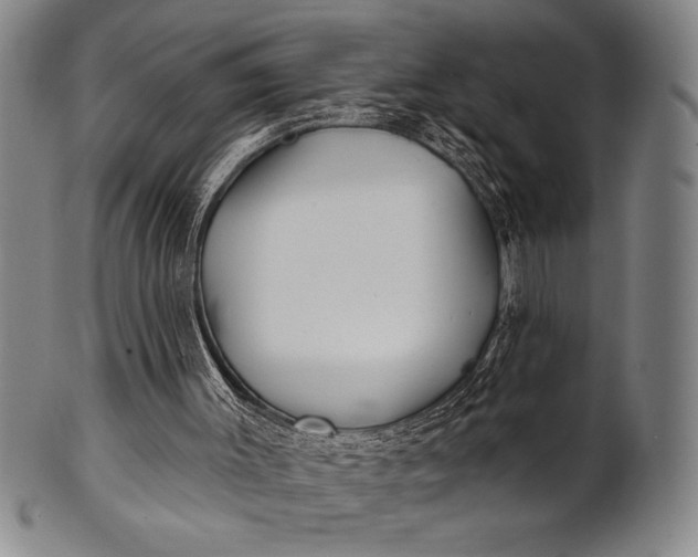 X0000101470003200807211347