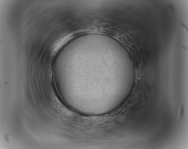 X0000101470005200807211347