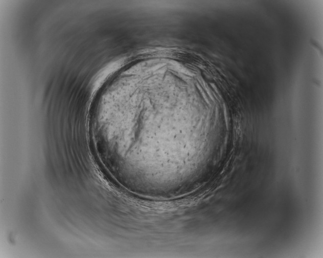 X0000101470006200807211347