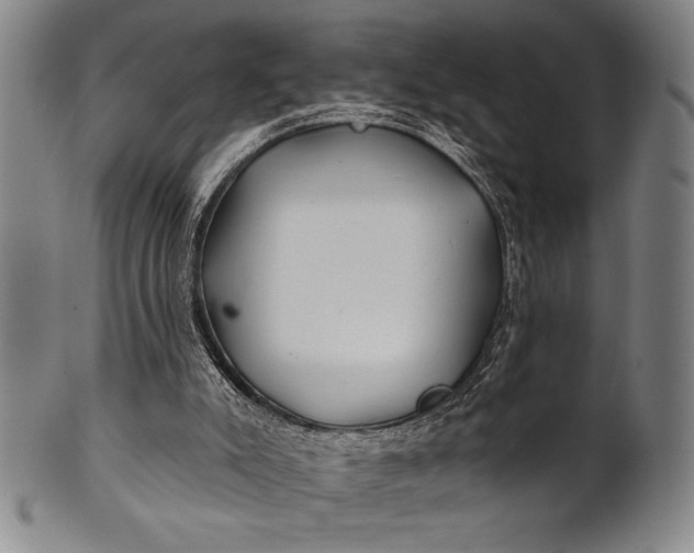 X0000101470007200807211347