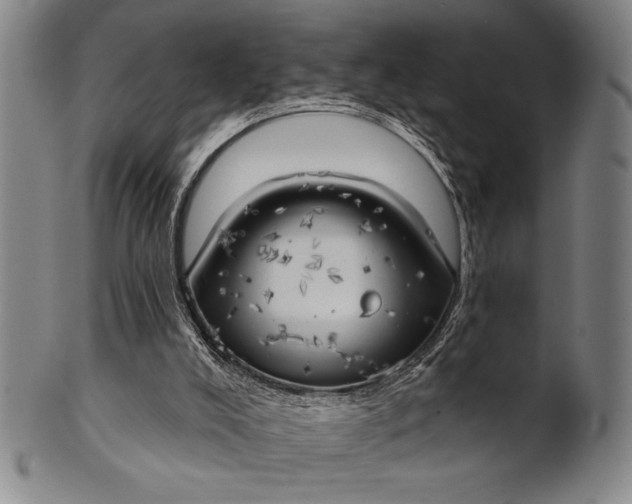 X0000101470008200807211347