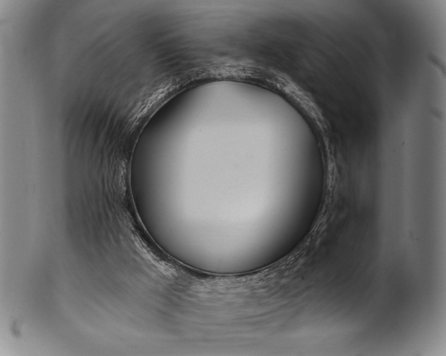 X0000101470009200807211347