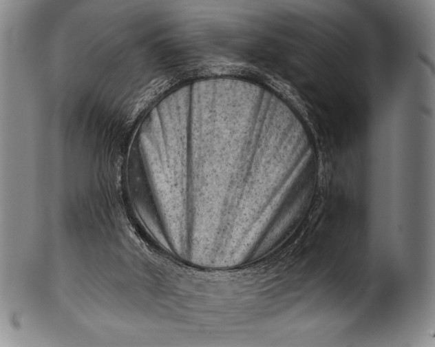 X0000101470010200807211347