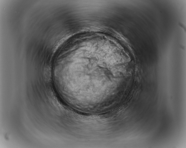 X0000101470012200807211347