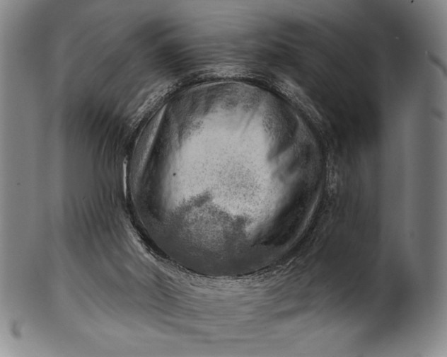 X0000101470014200807211346