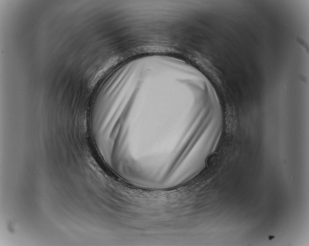 X0000101470015200807211346