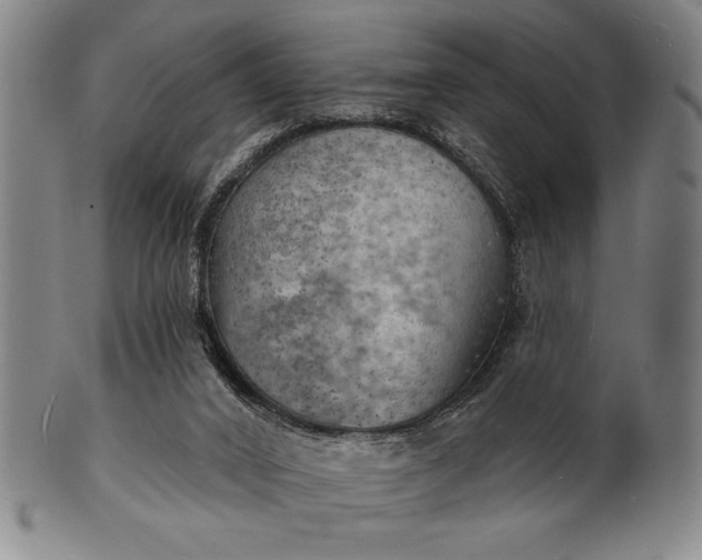 X0000101470016200807211346