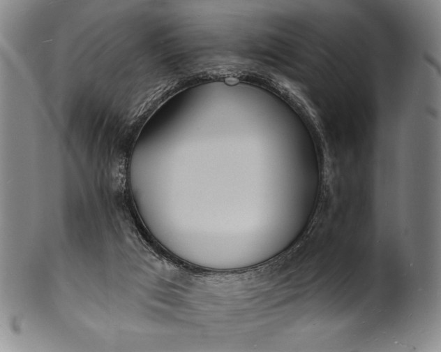 X0000101470017200807211346