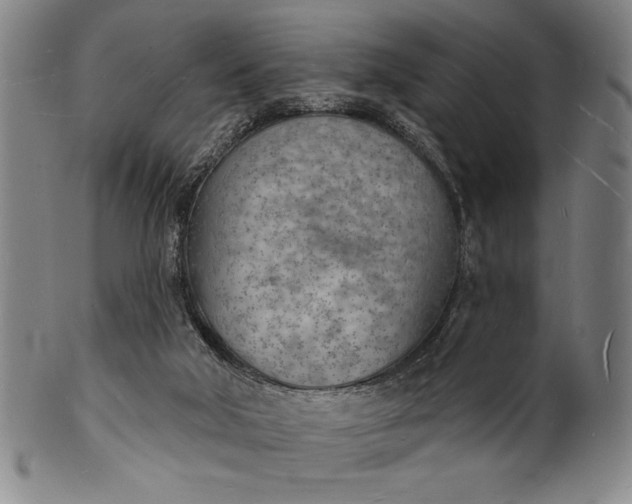 X0000101470018200807211346